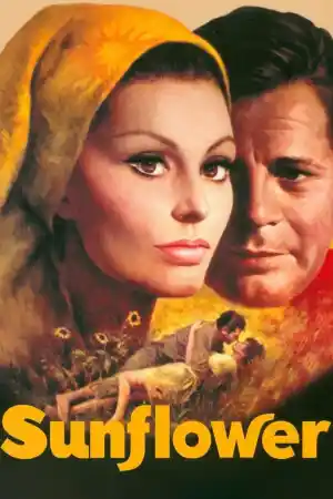 I girasoli / Sunflower