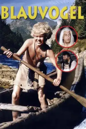 Blue Bird / Blauvogel