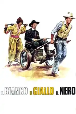 Il bianco il giallo il nero