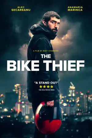 The Bike Thief