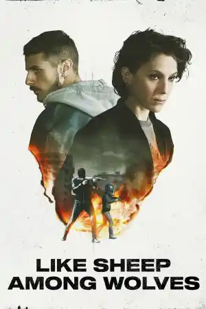 Like Sheep Among Wolves / Come pecore in mezzo ai lupi