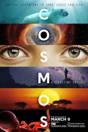 Cosmos: A Spacetime Odyssey: Standing Up in the Milky Way ()