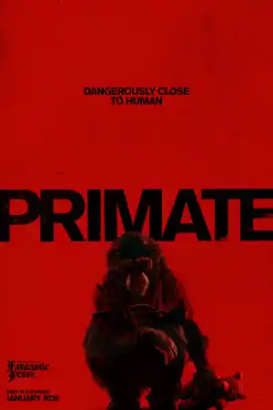 Primate ()