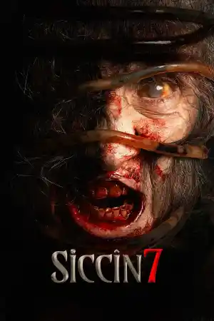 Siccin 7 ()