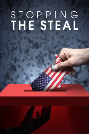 Stopping The Steal ()