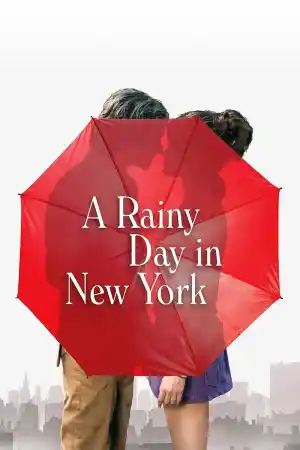 A Rainy Day in New York ()