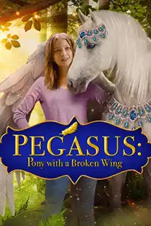 Pegasus: Pony with a Broken Wing ()